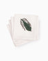 Floral Face Towel (Set of 4) | Singhvis