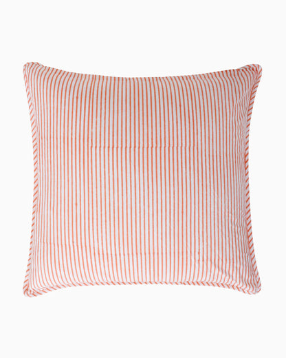 Ash Cushion Cover (Set of 2) | Singhvis