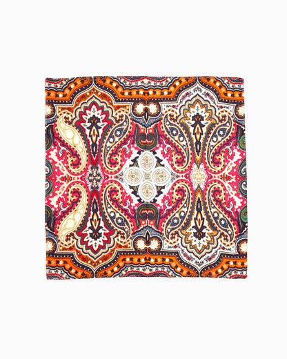 Printed Pocket Square Multi | Singhvis