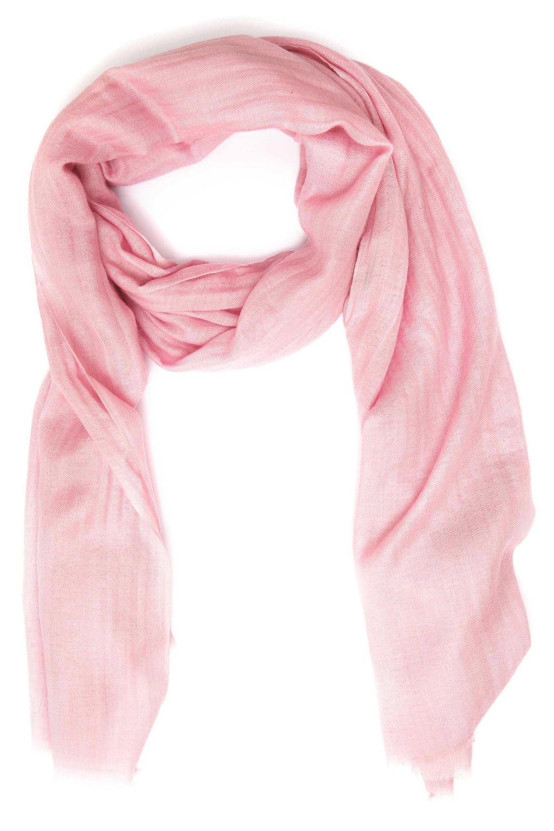 Cashmere Shawl | Singhvis